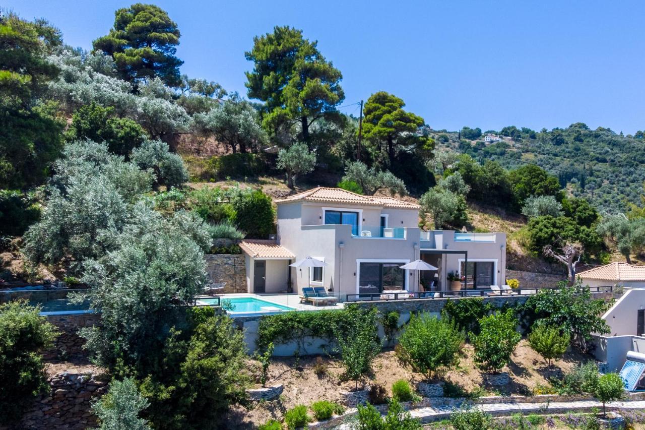 Villa Antigone Luxury Retreat سكوبيلوس تاون المظهر الخارجي الصورة
