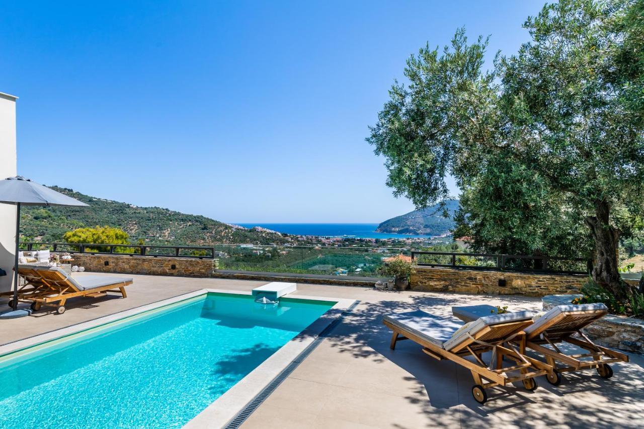 Villa Antigone Luxury Retreat سكوبيلوس تاون المظهر الخارجي الصورة