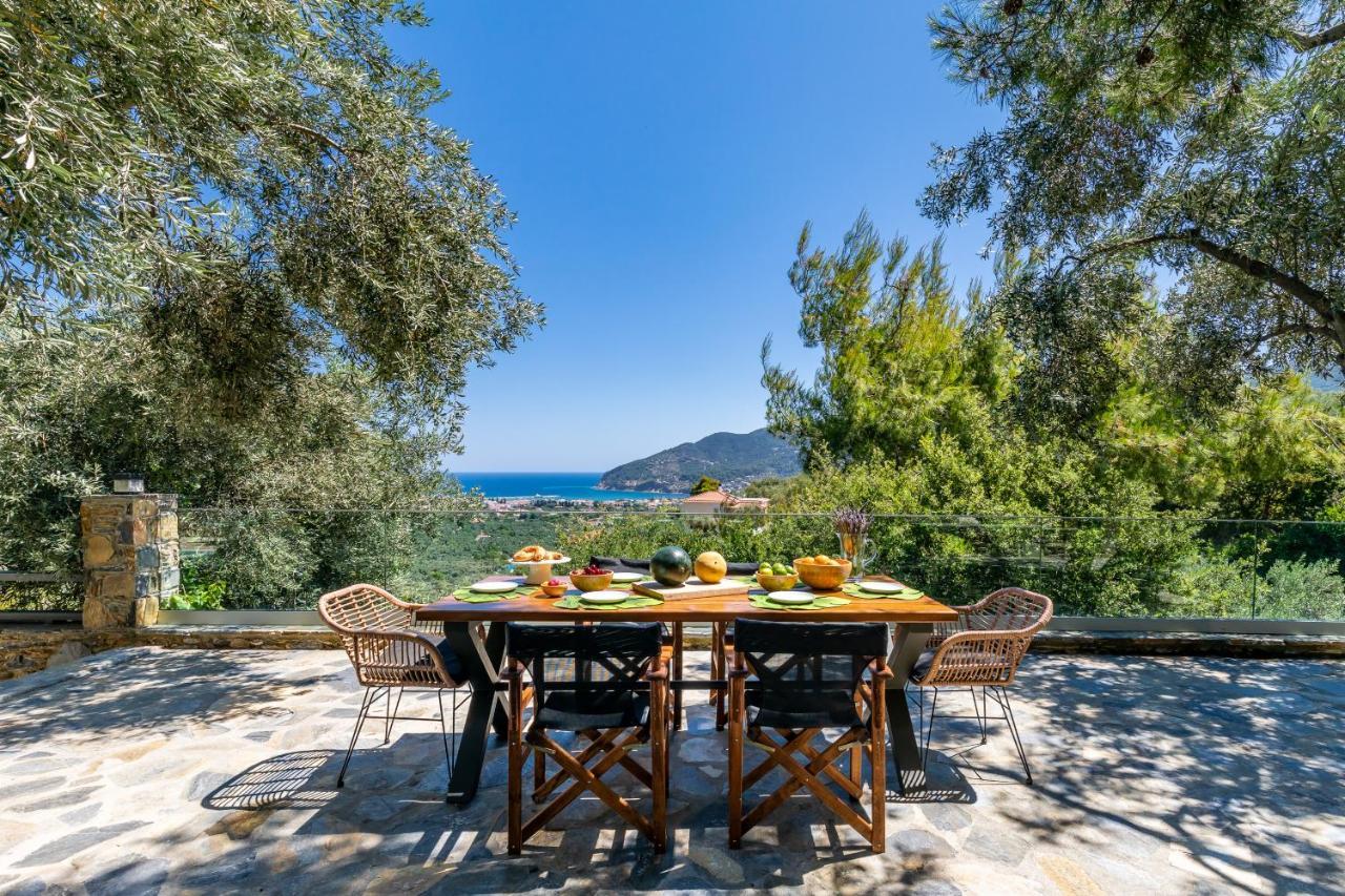 Villa Antigone Luxury Retreat سكوبيلوس تاون المظهر الخارجي الصورة