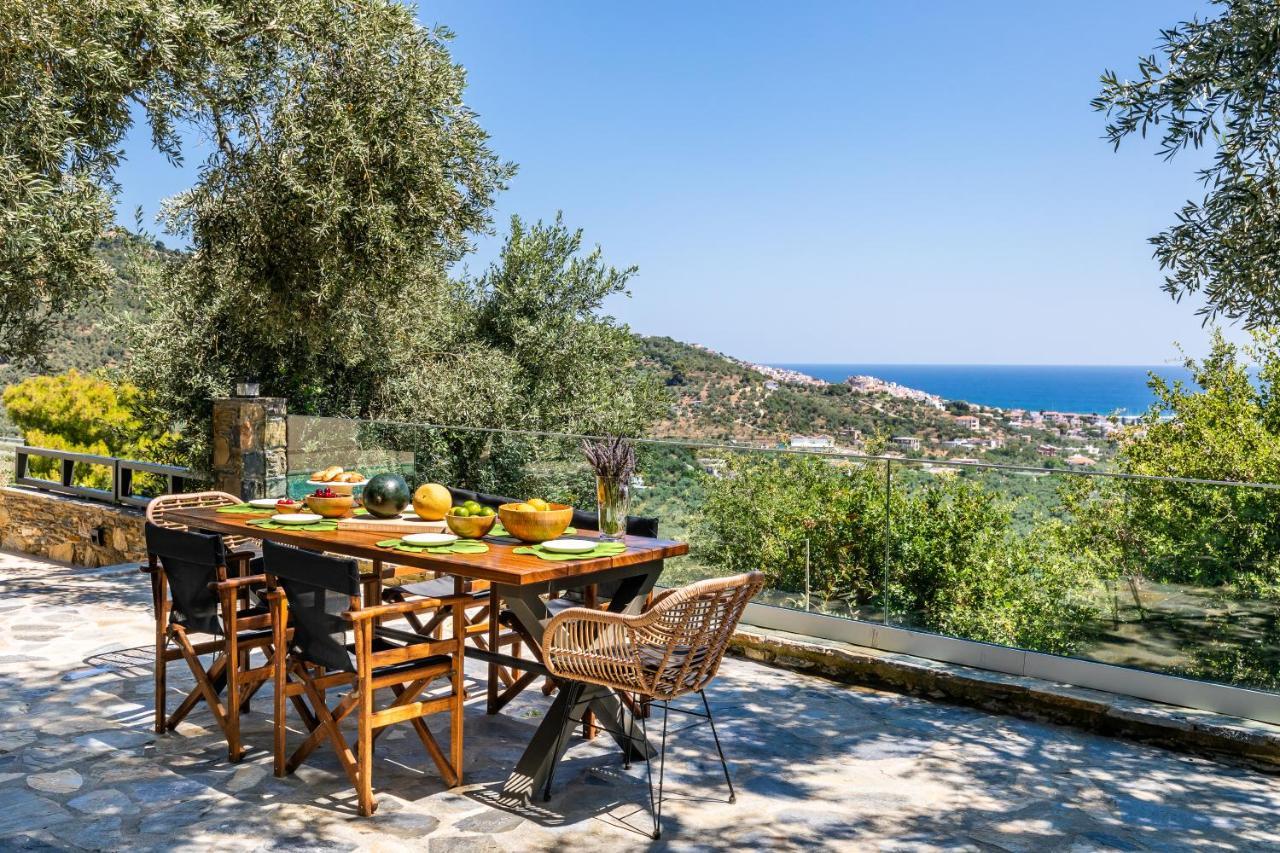 Villa Antigone Luxury Retreat سكوبيلوس تاون المظهر الخارجي الصورة