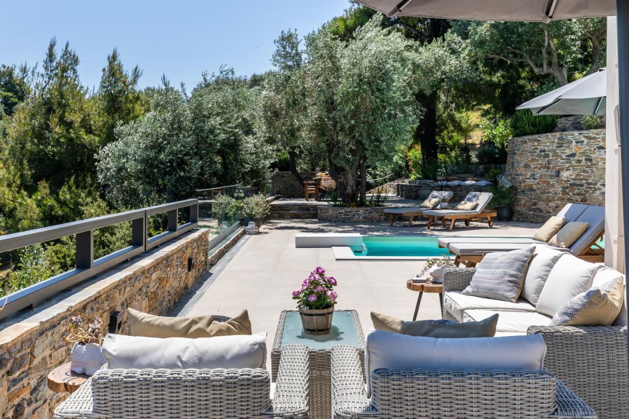 Villa Antigone Luxury Retreat سكوبيلوس تاون المظهر الخارجي الصورة