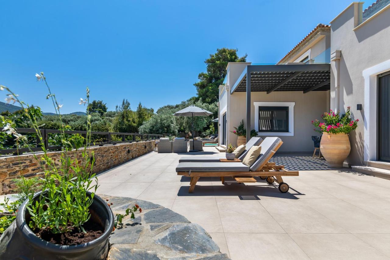Villa Antigone Luxury Retreat سكوبيلوس تاون المظهر الخارجي الصورة