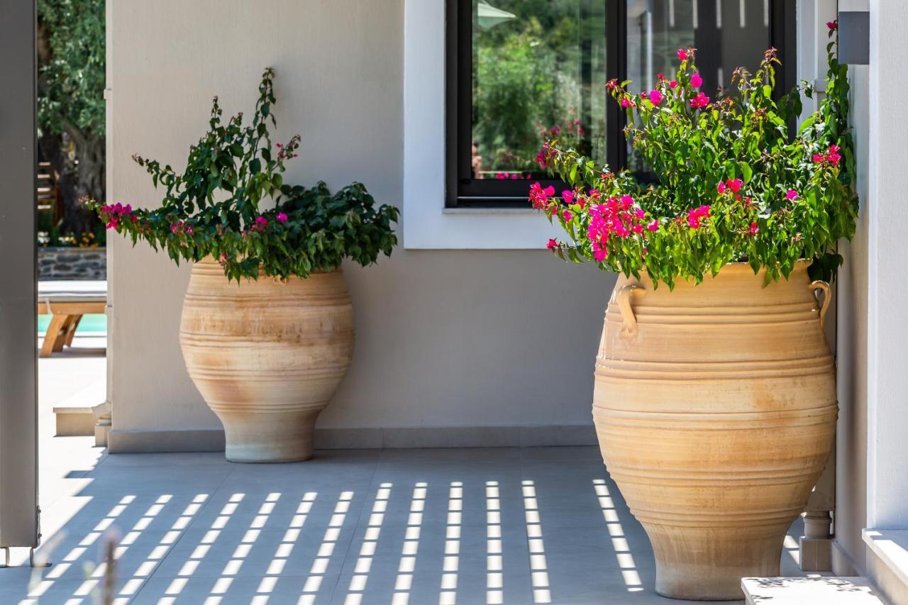 Villa Antigone Luxury Retreat سكوبيلوس تاون المظهر الخارجي الصورة
