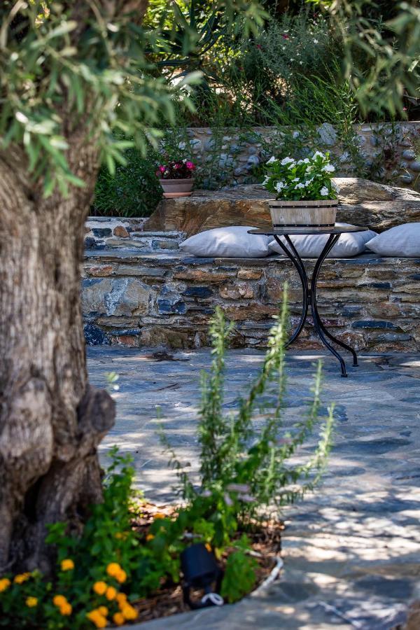 Villa Antigone Luxury Retreat سكوبيلوس تاون المظهر الخارجي الصورة