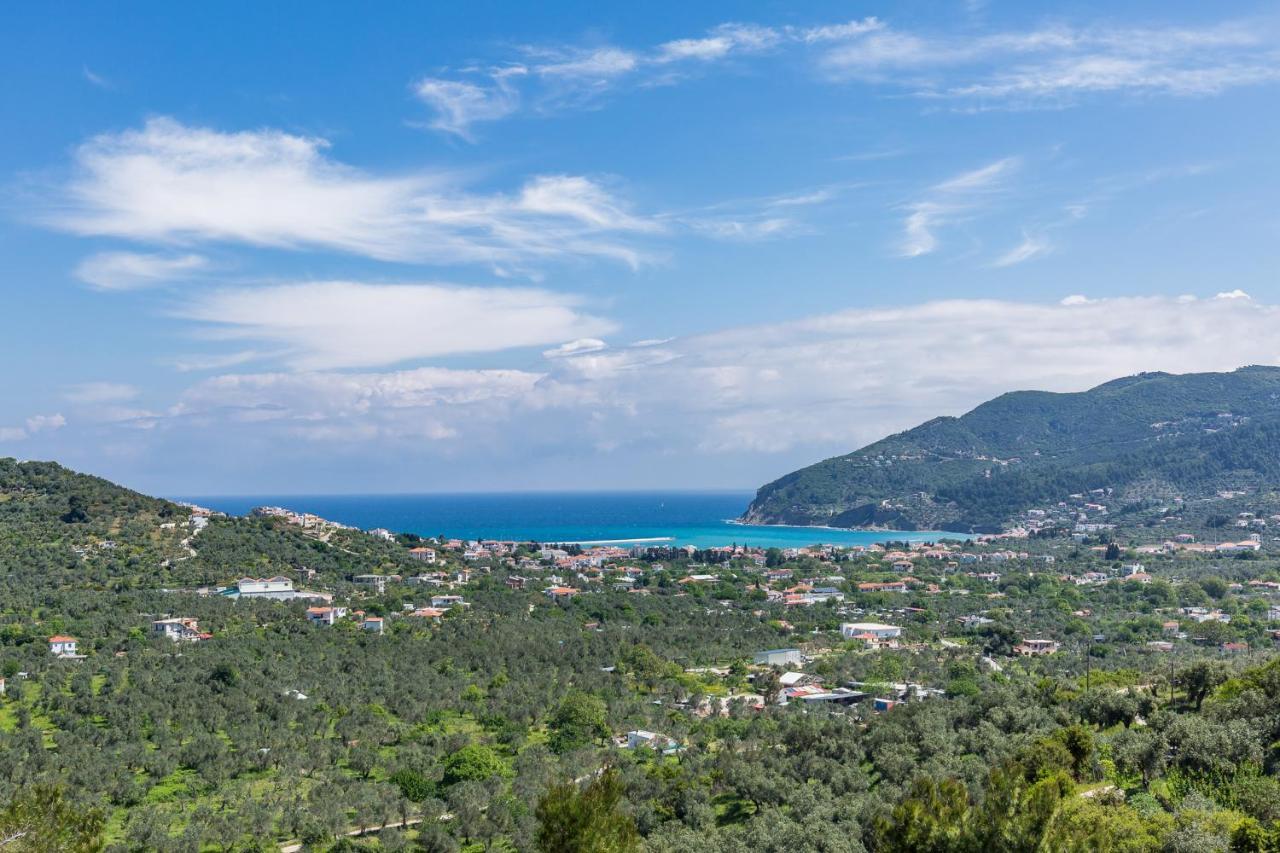 Villa Antigone Luxury Retreat سكوبيلوس تاون المظهر الخارجي الصورة